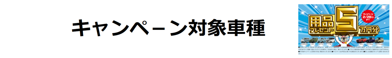 オプション5万円2025新春 - コピー - コピー - コピー (2)